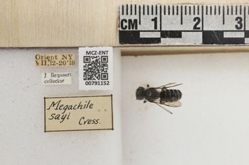 Media type: image;   Entomology 791152 Aspect: Labels